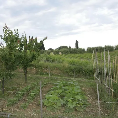Podere San Simone