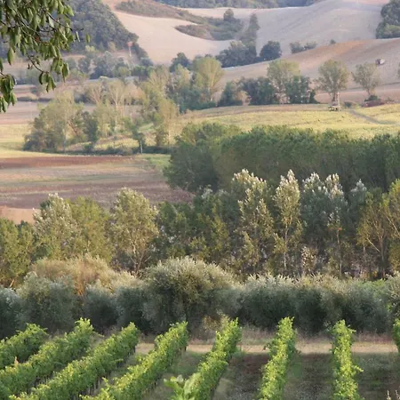 Podere San Simone Apartment *