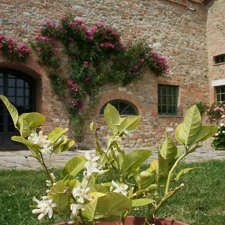 Apartment Podere San Simone